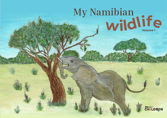 My Namibian Wildlife